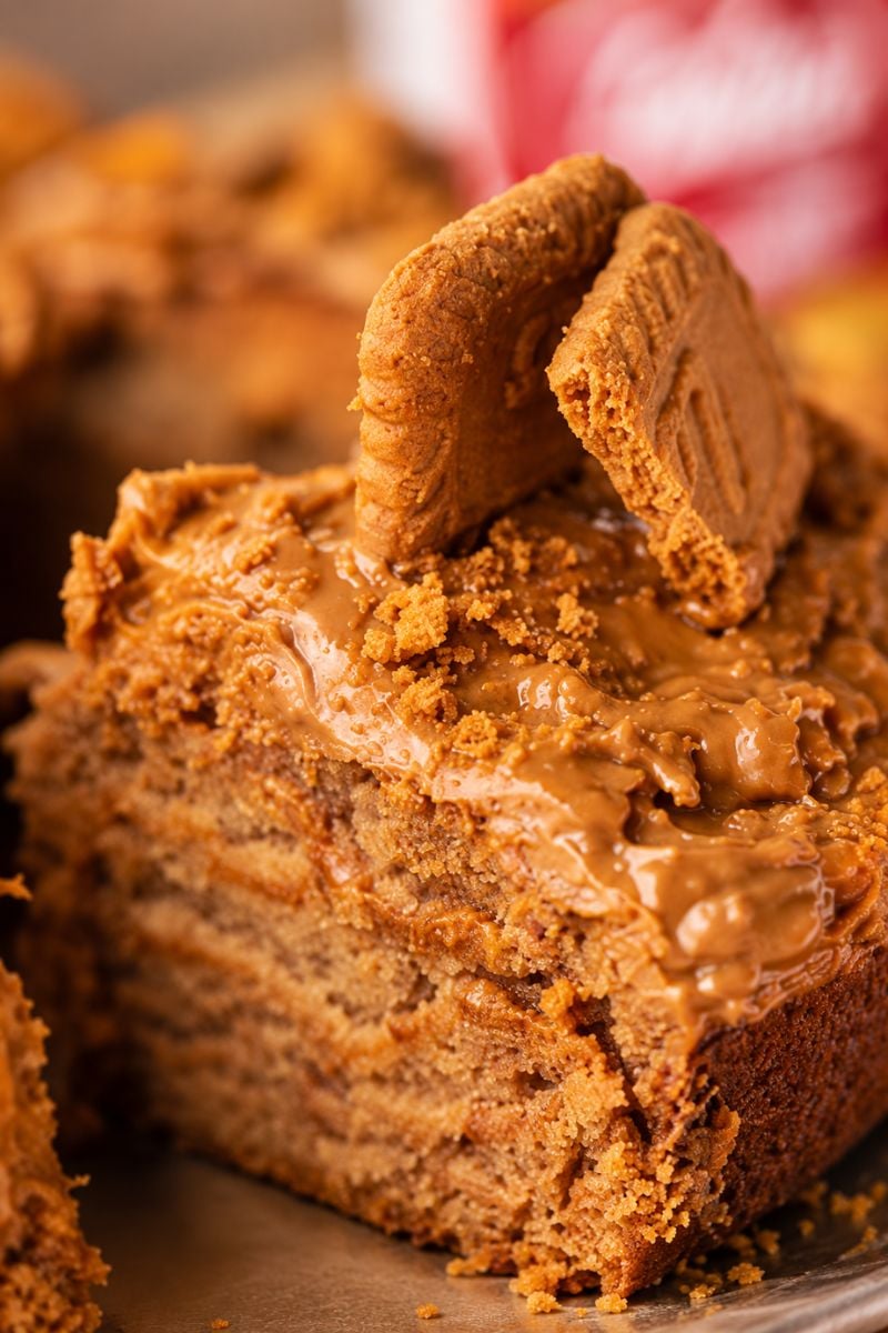 slice/cut cake showing the moist crumb