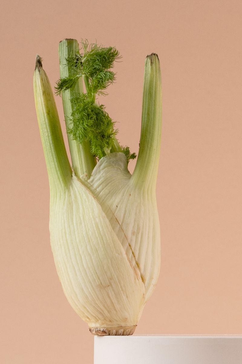 Fennel fonds are a great substitute for dill.