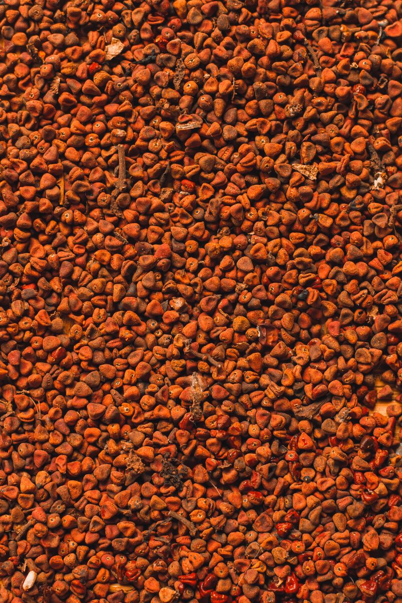 Annatto seeds